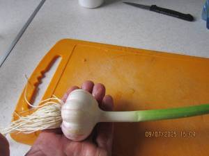 IMG_0805.thumb.JPG.a5e7665e3544635ba5569ba768d9f46a.JPG