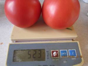 IMG_0846.thumb.JPG.efbb2264b10ec51efb0c81ffd4361b05.JPG