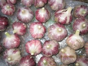 IMG_0849.thumb.JPG.0db69e490252b312ac94d7bd2033b5af.JPG