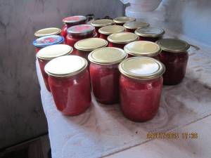 IMG_0853.thumb.JPG.503d1c44fb4eedc78e67d067abe42124.JPG