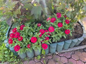 IMG_1884.jpeg