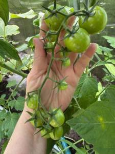 IMG_1962.jpeg