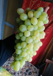 IMG_20250203_223522.thumb.jpg.ee9d48b1c2d0e24739fc524aac2218c8.jpg