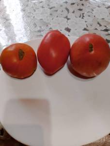 IMG_20250701_072010.jpg