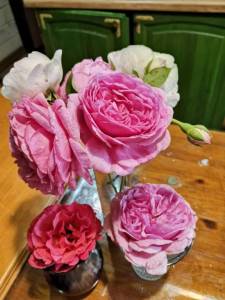 IMG_20250701_142647.jpg