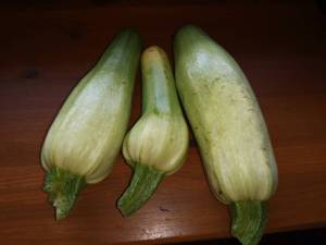 IMG_20250701_184627.jpg
