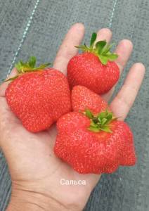 IMG_20250701_234530.jpg