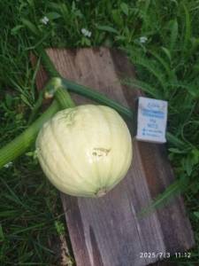 IMG_20250703_111242.thumb.jpg.def240135cf80c9e42f57ca27c8fbe86.jpg