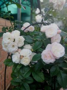 IMG_20250704_212812.jpg