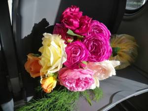 IMG_20250705_173421.jpg
