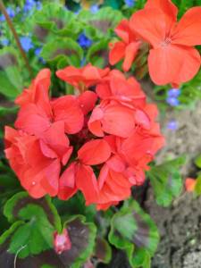 IMG_20250706_131325.jpg