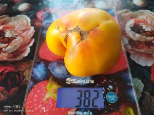 IMG_20250707_090151.thumb.jpg.9fd0fd75275a23f2fd6b0c0fa74079fc.jpg