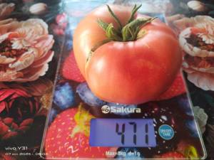 IMG_20250707_090207.thumb.jpg.a6cfb4703eff662a2e9d81b30b4a241b.jpg