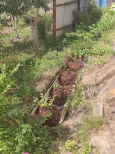 IMG_20250707_150448.jpg
