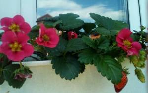 IMG_20250708_170725.jpg