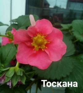 IMG_20250708_170858.jpg