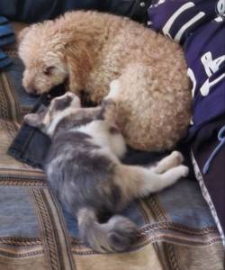IMG_20250710_191023.thumb.jpg.9ab049c46780aec78e383156b0dc4228.jpg