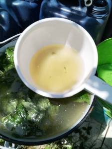IMG_20250711_130804.jpg