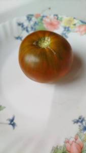 IMG_20250714_124552.jpg
