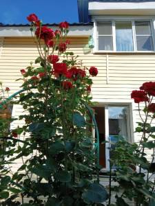 IMG_20250715_185712_920.jpg
