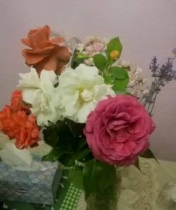 IMG_20250717_111021.jpg