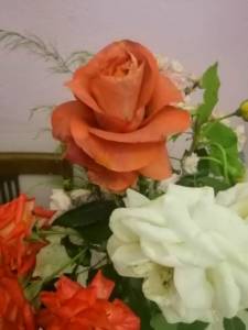 IMG_20250717_111138.jpg