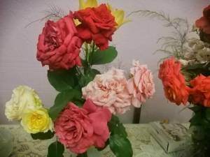 IMG_20250717_111221.jpg