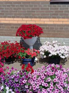 IMG_20250717_123419_246.jpg