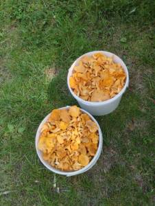 IMG_20250718_133538.jpg