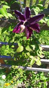 IMG_20250718_133915.jpg
