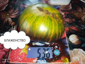 IMG_20250719_095735.thumb.jpg.aa012ea1565b3db9649de77e961ad7b1.jpg