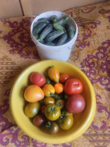 IMG_20250720_121725.jpg