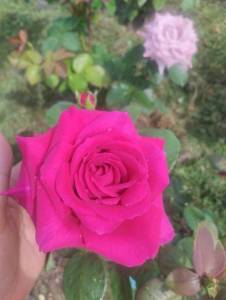 IMG_20250720_122707.jpg