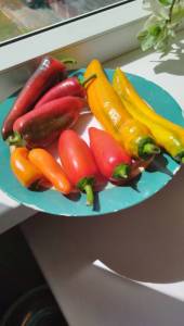 IMG_20250720_122752.jpg