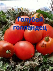 IMG_20250721_121836_461.thumb.jpg.ea6656e6d723e76e4e2e50a2d9a5b44a.jpg