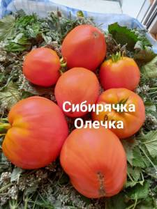 IMG_20250721_121849_433.thumb.jpg.fe4a6c5ae71f2fd01a47e68bfffa9921.jpg