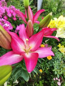 IMG_20250721_143117.jpg