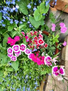 IMG_20250721_143155.jpg