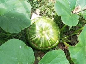 IMG_20250722_134831.jpg
