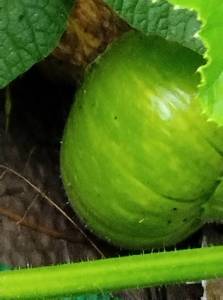 IMG_20250722_144510.thumb.jpg.7fd7f5b125851c2113081c9c57f17894.jpg