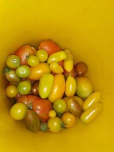 IMG_20250722_150352.jpg