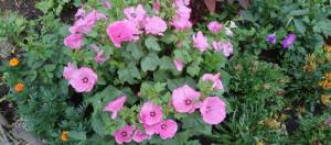 IMG_20250722_192822_589.thumb.jpg.8ac9e7e88f3eefe63f3cf2899cc683ef.jpg
