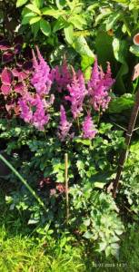 IMG_20250723_142935.jpg