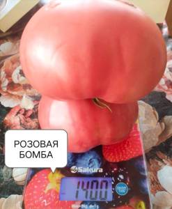 IMG_20250724_133051.thumb.jpg.32f45fe6429f1cad9f865be69d1bfc8c.jpg