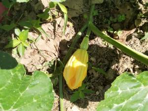 IMG_20250725_110313.jpg