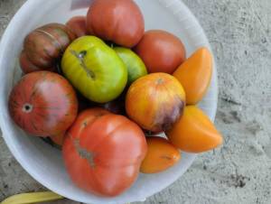 IMG_20250725_155420.jpg