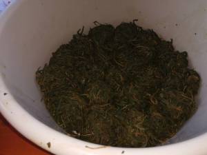 IMG_20250726_181542.thumb.jpg.c61c68aec2f32e46bf6f0234f81e6f4b.jpg