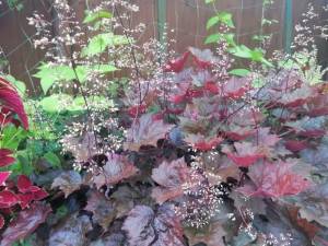 IMG_20250726_194649.jpg