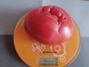 IMG_20250729_083338_1.jpg