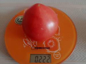 IMG_20250729_084350.jpg
